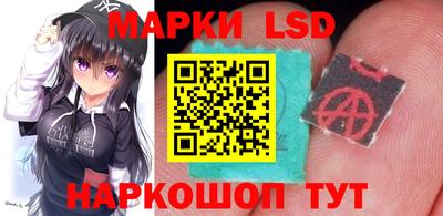 стафф Краснознаменск
