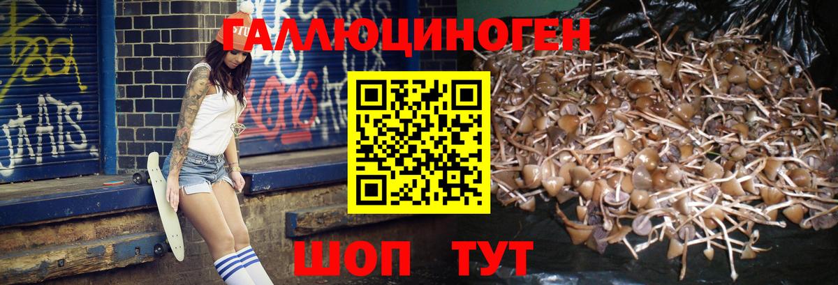 Псилоцибиновые грибы MAGIC MUSHROOMS  Вход с VPN  Галлюциногенные грибы мицелий  Качканар 