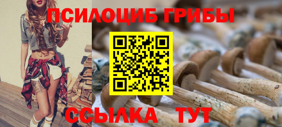 Галлюциногенные грибы мухоморы Качканар