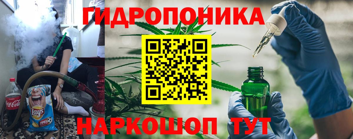 Конопля OG Kush Качканар