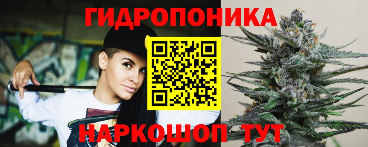 Качканар  Шишки марихуана OG Kush  Вход с VPN  Конопля марихуана  МАРИХУАНА марихуана 